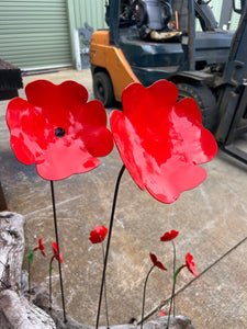 Poppies Medium